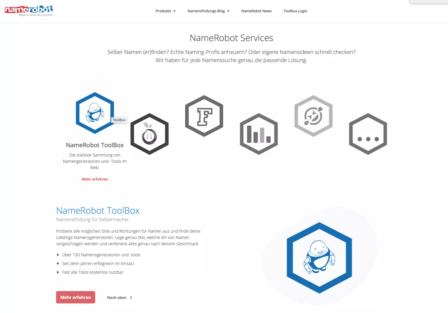 Screenshot Namerobot Services